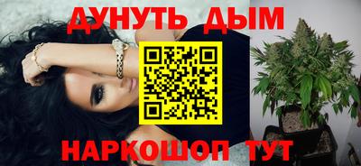 крисы Моздок