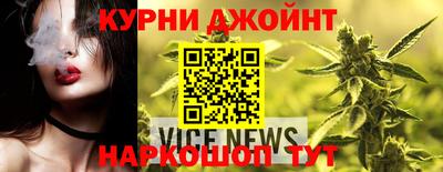 индика Можга