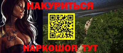 крисы Моздок