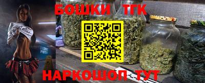 крисы Моздок