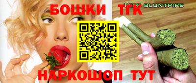 индика Можга