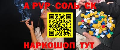 индика Можга