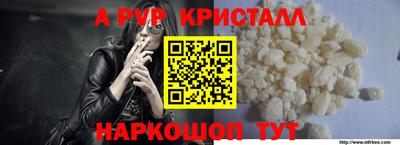 крисы Моздок