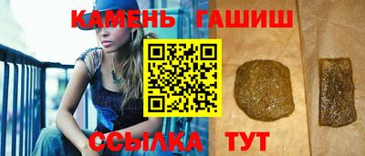 крисы Моздок