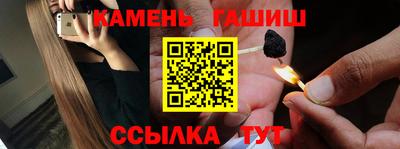 крисы Моздок