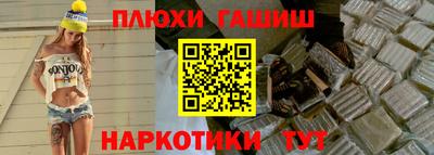 индика Можга