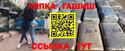индика Можга