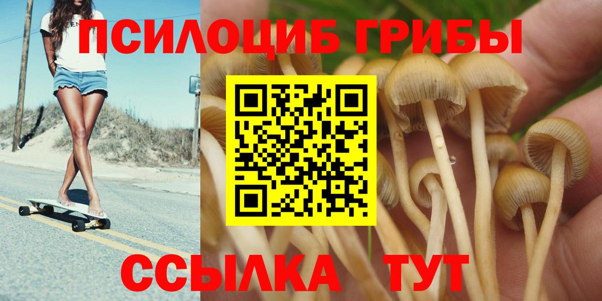 Димитровград  Галлюциногенные грибы мицелий  Вход с VPN 