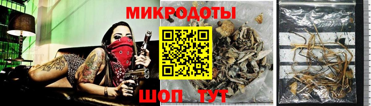 Псилоцибиновые грибы ЛСД Димитровград